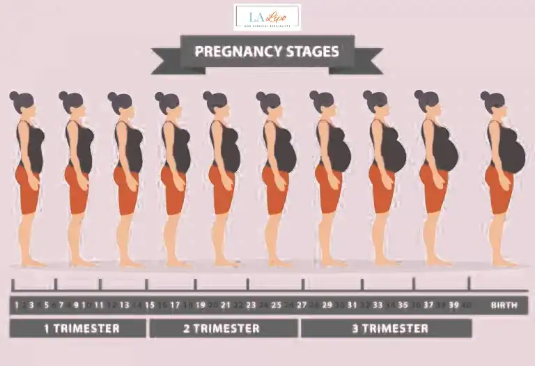 First Trimester (Weeks 1–12): Early Changes You Might Not Notice Petersfield
